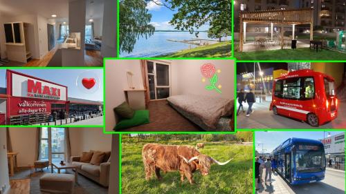 a collage of pictures of different things at Stockholm Private Rooms in Shared Lovely, Amazing, Modern Apartment +Garden +BBQ in Stockholm