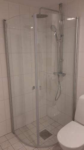 a shower with a glass door next to a toilet at Stockholm Private Rooms in Shared Lovely, Amazing, Modern Apartment +Garden +BBQ in Stockholm