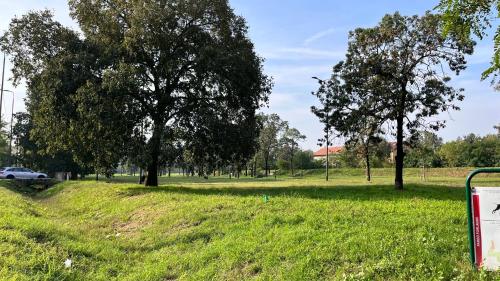 Κήπος έξω από το Cozy Nest