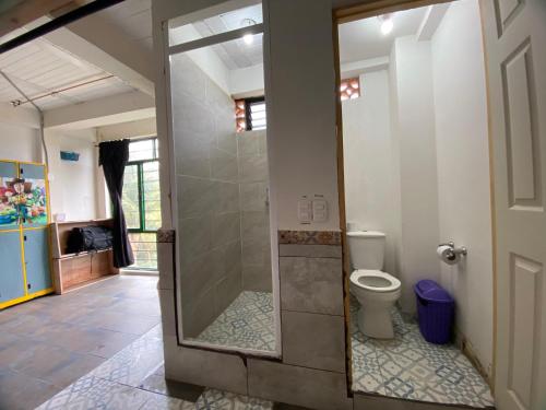 ein Bad mit einer Dusche und einem WC in der Unterkunft Combi in Salento
