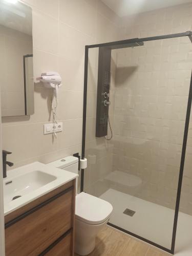 W łazience znajduje się prysznic, toaleta i umywalka. w obiekcie Apartamentos Silgar Plaza w mieście Sanxenxo