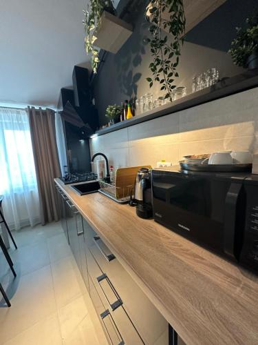a kitchen with a counter top with a microwave at Complex Rediu 54 Luxury Apartaments in Iaşi