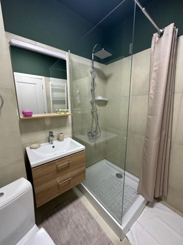 a bathroom with a shower and a toilet and a sink at Complex Rediu 54 Luxury Apartaments in Iaşi