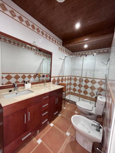 a bathroom with a sink and a toilet and a mirror at Casa Rural El Mirador de la Atalaya in Villanueva de Algaidas