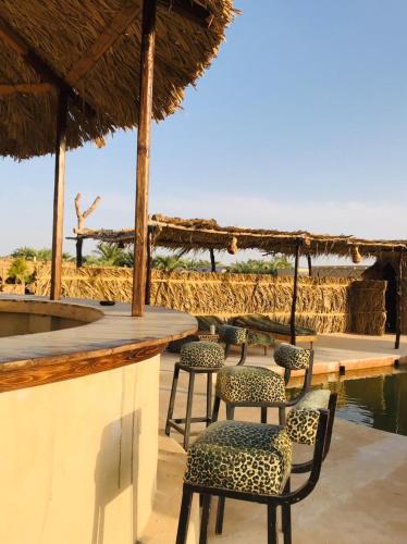 a group of chairs sitting at a bar at Gazrashek Siwa Hot spring& trips Haven in Siwa