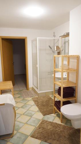 a bathroom with a shower and a toilet in it at Das Neukirchen Inn in Neuburg am Inn
