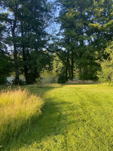 a field of grass with trees and a body of water at Seeblick Apartments Mühlau in Mühlau