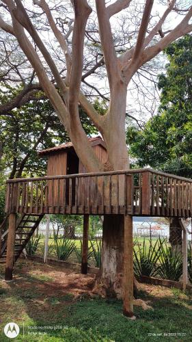 una casa sull'albero in legno, seduta in cima a un albero di Chalé Europeu na Beira do Rio a Pederneiras