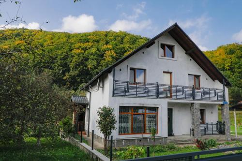 a white house with a hill in the background at Фенікс in Yaremche