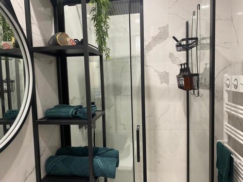 La salle de bains est pourvue d'une douche en verre avec un miroir. dans l'établissement Ô république, à Marseille