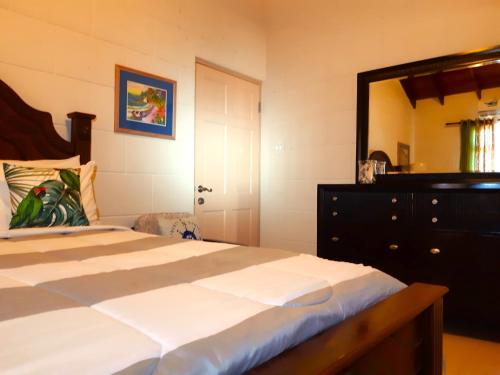 1 dormitorio con cama, tocador y espejo en Coconut Walk Beach Apartment en Christ Church