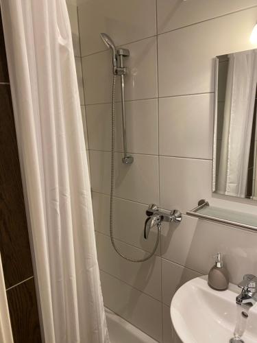 uma casa de banho com um chuveiro e um lavatório. em Apartment mit Terrasse iP-TV Stellplatz em Krefeld