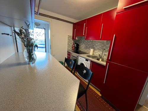 a kitchen with red cabinets and a vase of flowers on a counter at Morning coffee w a view :) in Podčetrtek