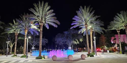 a group of palm trees with a fountain at night at The Lofts on Clematis 508 Downtown West Palm Beach in West Palm Beach