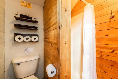 a bathroom with a toilet and a wooden wall at New! Charming cozy Cabin Colorado National Forest in Lake George