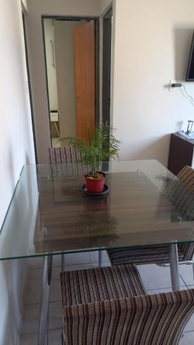 a glass table with a plant sitting on top of it at Apartamento no condomínio Bilbao - B7 202 in Teresina