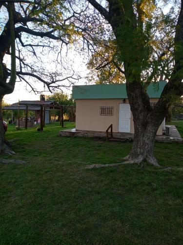 a building with a tree in the grass at Finca Doña Antonia in Pueblo Moreno