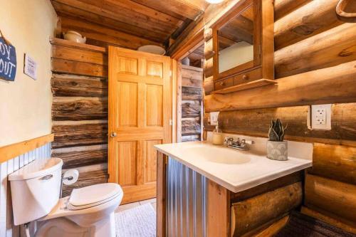 a bathroom with a toilet and a sink at New! Charming Cabin in Colorado National Forest in Lake George