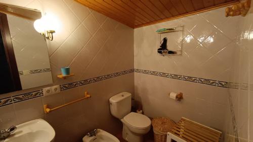 ein Badezimmer mit einem WC, einem Waschbecken und einem Spiegel in der Unterkunft Casa Dolors in Ossó de Sió
