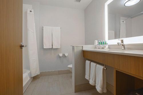 a bathroom with a sink and a toilet and a mirror at Holiday Inn Express & Suites Boise Airport, an IHG Hotel in Boise