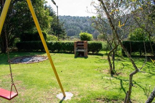 a swing in a yard with a tree at Finca Marix, Villa del Carbón in Villa del Carbón
