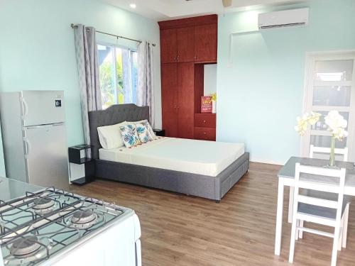 Serenity Seaview Suite في Anse La Raye: غرفة صغيرة بها سرير ومطبخ