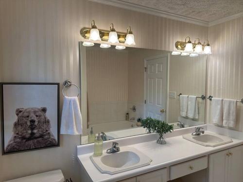 a bathroom with a picture of a bear on the wall at The Mirror Lake Suite in Fayetteville
