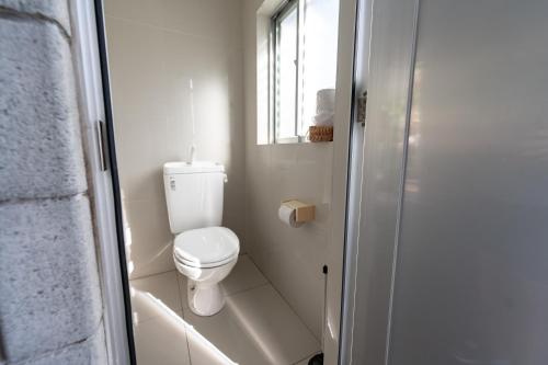 a small bathroom with a toilet and a window at ユナパ in Yonaha