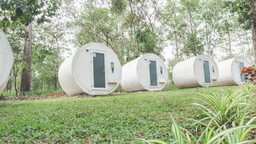 une rangée de dômes blancs dans un champ d'herbe dans l'établissement vKirirom Pine Resort, à Chambok