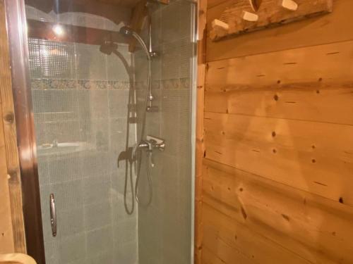 a shower with a glass door in a bathroom at Chalet 4 pièces avec balcon, BBQ, parking, WIFI à Châtel - FR-1-676-43 in Châtel