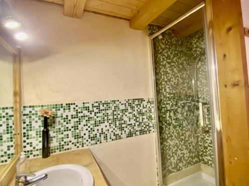 a bathroom with a shower and a sink at Chalet 4 pièces, 3 chambres, 8 pers., proche télécabine, balcon, jardin privatif, parking, Wifi - FR-1-676-40 in Châtel