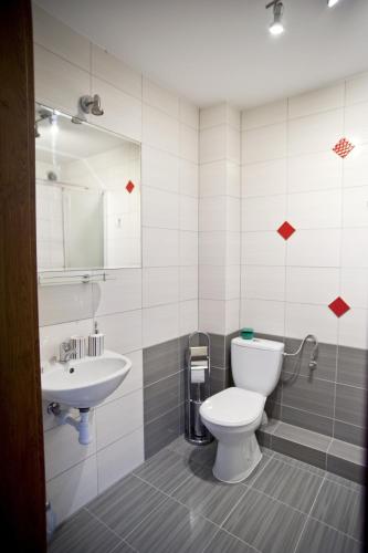 a bathroom with a toilet and a sink at Agroturystyka W Jabłoniowym Sadzie in Jeżyce