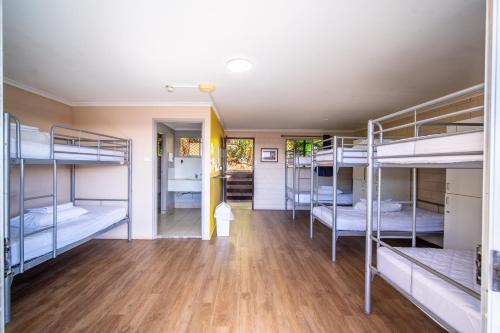 Katil atau katil-katil dalam bilik di The Hostel, Airlie Beach