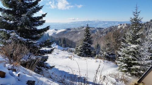 a snow covered slope with trees and mountains at Holiday Home Relax in Kopaonik