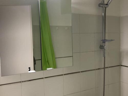 een badkamer met een spiegel en een groene douche bij Appartement Châtel, 2 pièces, 5 personnes - FR-1-676-150 in Châtel