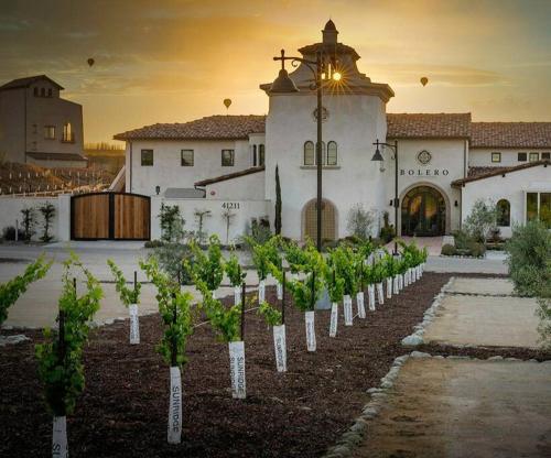 a group of plants in front of a building at Vineyard Chic Oasis: Modern Elegance near Temecula Wineries in Temecula
