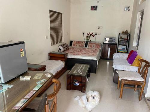 - un salon avec un chien assis au milieu dans l'établissement A Family Home TT Nagar Bhopal, à Bhopal