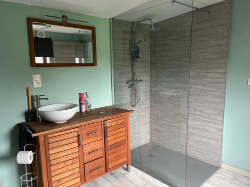 uma casa de banho com um chuveiro, um lavatório e um espelho. em Au chant du cocq em Binche