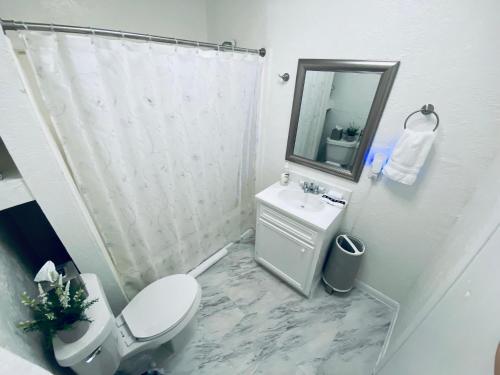 a bathroom with a toilet and a sink and a mirror at Holistic Gem w/1Gig Wi-Fi & free parking in Houston