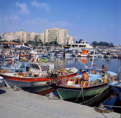 a bunch of boats are docked in a harbor at Blazer Residence in Larnaka
