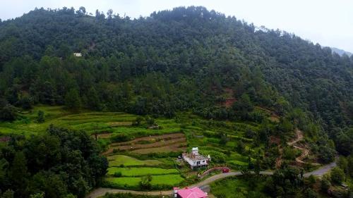 Tatva Veda Homestay & Hostel – Photos 2