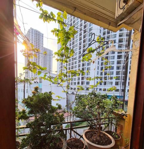 a window with plants in pots on a balcony at Nhà Nghỉ Hương Thúy - TTTM Royal City in Hanoi