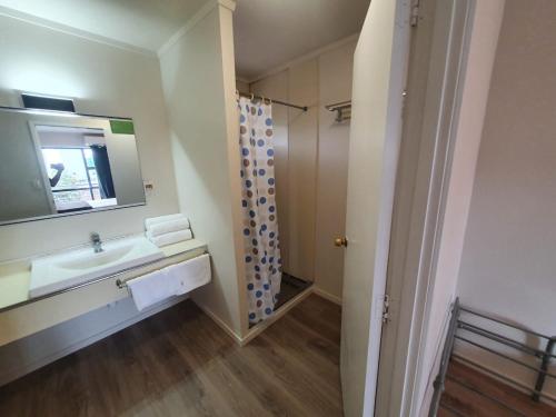 a bathroom with a sink and a shower at Ascot Epsom Motel in Auckland