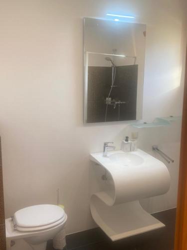 a bathroom with a white toilet and a sink at Pension Maximilian in Gamlitz