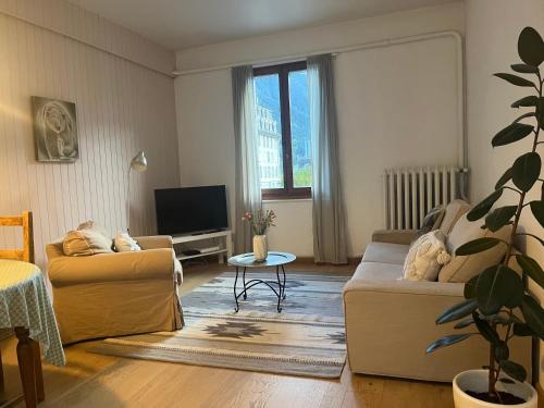 a living room with a couch and a tv at Appartement Alexandra in Chamonix-Mont-Blanc