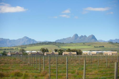 a fence in a field with mountains in the background at Vergenoegd Löw Boutique Hotel & Spa in Cape Town