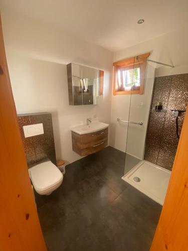 a bathroom with a toilet and a sink and a shower at Pension Maximilian in Gamlitz