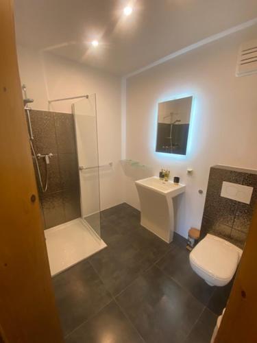 a bathroom with a shower and a toilet and a sink at Pension Maximilian in Gamlitz