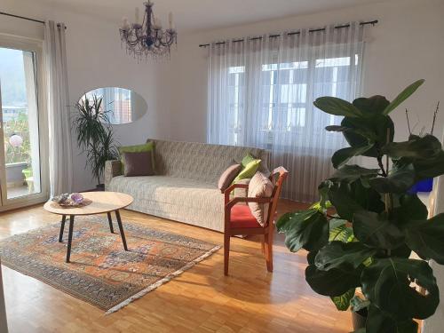 a living room with a couch and a table and a plant at Charming Penthouse near Como lake in Chiasso