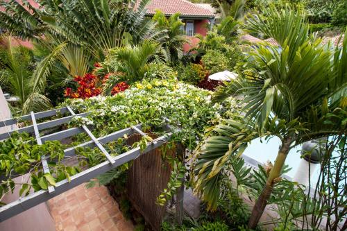 a garden with flowers and plants on a balcony at Hotel Hacienda de Abajo-Adults Only-Lujo in Tazacorte
